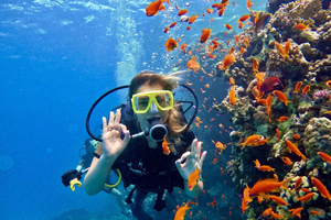 Sharm el-Sheikh: Ras Mohammed & White Island Dive & Snorkel