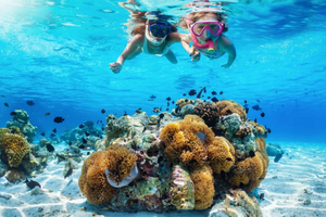 Sharm El-Sheikh : Tiran Isand Cruise Snorkel & Dive w/Lunch