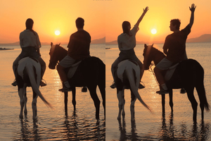 Sharm El Shiekh : Excursion à cheval dans le désert (plage et ville)