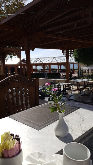 Beach Bar