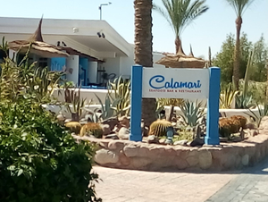 Calamari Restaurant