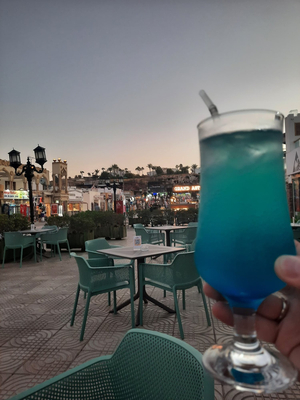 Camel Bar & Rooftop