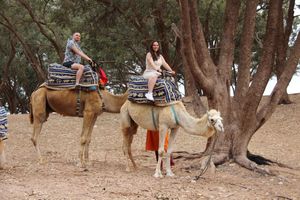 From Agadir or Taghazout: Camel Ride Berber Tour Experience