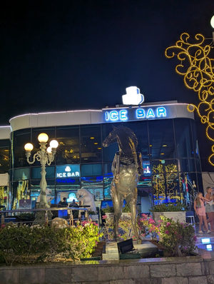 Ice Bar