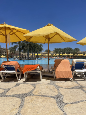 Lagoon Pool Bar