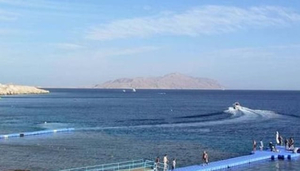 Marina Divers