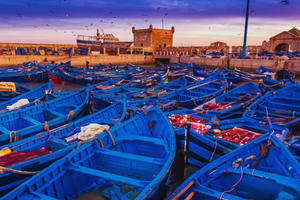 Marrakesh: Essaouira & Sekkala Tour with Lunch Option