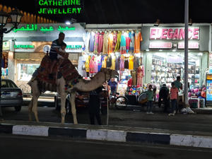 Old Sharm