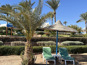 Planet Spa at Renaissance Sharm El Sheikh Golden View Beach Resort