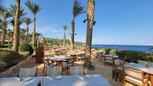 Reef Grill