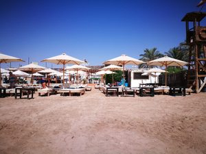 VIVA Beach & Restaurant
