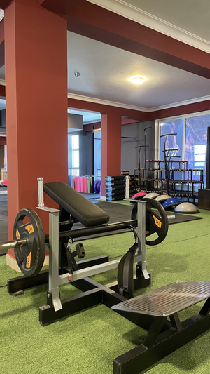 Wellness Fitness