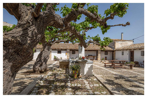 Alcamo: da fazenda à mesa – experiência de almoço/jantar com vinhos
