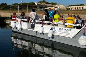 Boat transfer to the island of Motya and visit to the Whitaker Museum