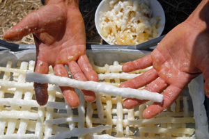Castelbuono Manna: meeting with one of the last producers