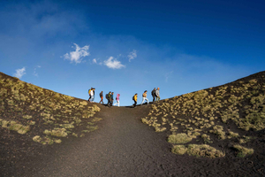 Catania: Etna Morning Tour with Transfer