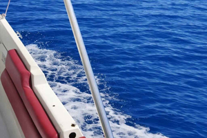 Discover Ortigia by Boat: Hidden Caves & Dolphins