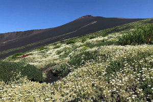 Etna: 4x4-tour bij zonsondergang met 'zoete aperitief' en vulkanische grot
