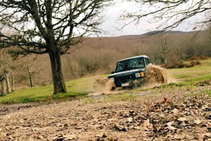 From Cesarò: Nebrodi Park by 4x4 Half-Day Trip