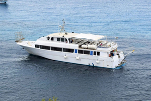 Vanuit San Vito: Excursie per boot naar Favignana en Levanzo
