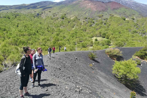 De Taormina: Meio dia de caminhada matinal no Monte Etna