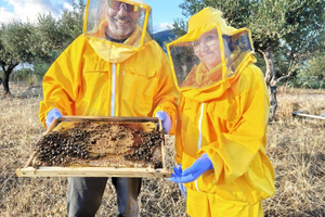 Isnesso: Madonie Mountains Bike Tour with Apiary Visit