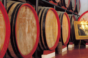 Marsala: Winery visit and wine tasting with local food tastings