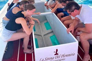 Ortigia e Grutas Marinhas: Excursão de barco com visão subaquática