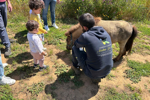 Partinico: Tasting extra virgin olive oil and vegetables on the farm