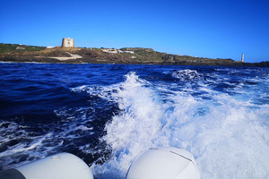 RIB-Boat Tour: Tour of the Island of Ustica with Cave Visit and Swimming