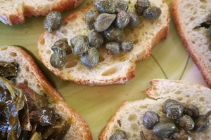 Salina Capers Experience