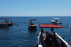 Siracusa: boottocht en panoramische tuk-tuktocht op het eiland Ortigia