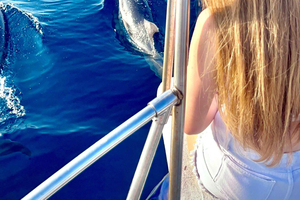 Taormina: Dolphin Tour and Sunset Aperitif Boat Tour