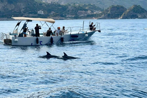 Taormina: crociera al tramonto, delfini nel loro habitat e apericena tipico