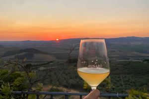 Trapani: Aperitif bei Sonnenuntergang im Weinkeller im Valle del Belice