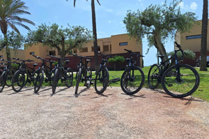 Valle del Belice: E-Bike Rental for Self-Guided Rides
