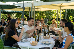 Vineyard Tour, Wine Tasting and Brunch near Siracusa