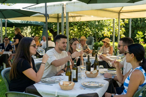 Vineyard Tour, Wine Tasting and Brunch near Siracusa