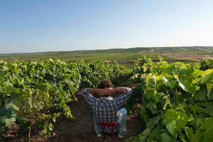 Weinkellereibesichtigung in Marsala mit Verkostung von Weinen und typischen lokalen Produkten.