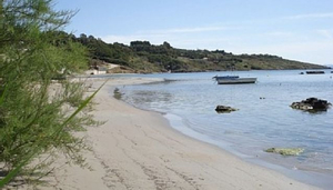 Arenella