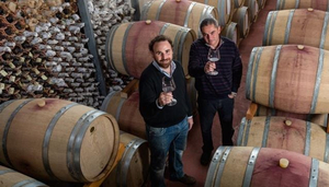 Avide Vigneti & Cantine