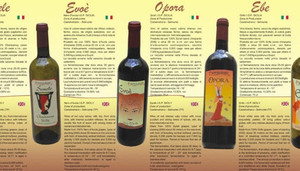 Azienda Agricola Panda by Pantaleone