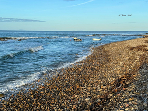 Beach Costa Turchina