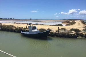 Von Trapani: Tour zu den Salinen von Marsala und den Stagnone-Inseln