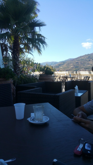 Le Palme Cafè