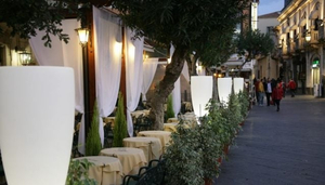 Mocambo Café Tea Room