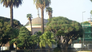 Museo Etnografico Siciliano Pitrè