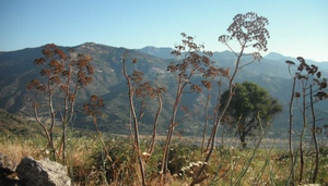 Peloritani Mountains