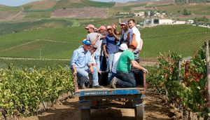 Tenuta Rapitalà