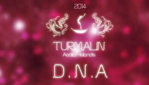 Turmalin Club Eolie